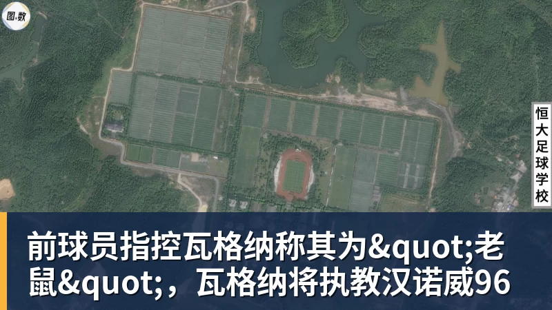 JS金沙前球员指控瓦格纳称其为"老鼠"，瓦格纳将执教汉诺威96